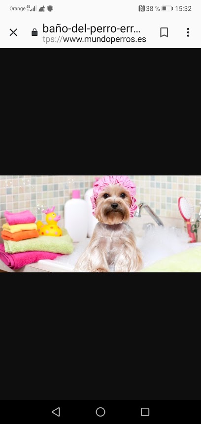 Raquel | Peluqueria para perros en Vélez-Málaga