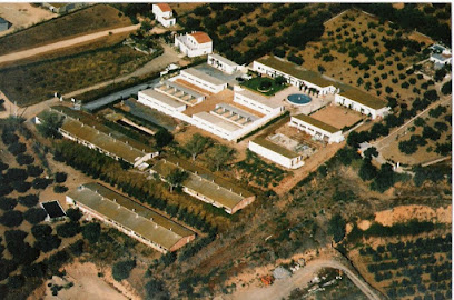 Can Brutus | Guardería para perros en Reus