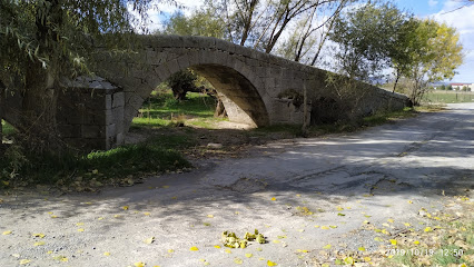 Babieca | Guardería para perros en Avila