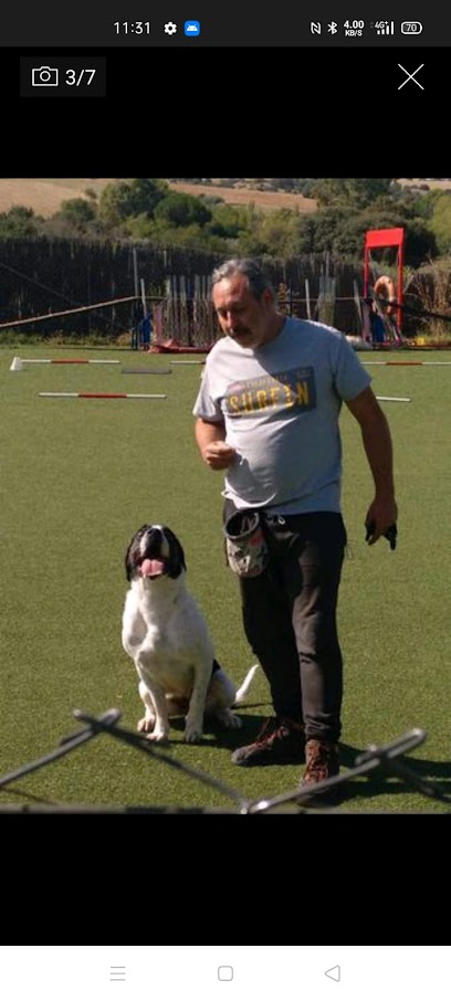 100%CANINO | Adiestradores de perros en Madrid