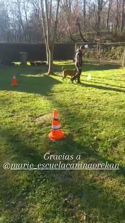 Kiro Adiestramiento Canino | Adiestradores de perros en Basauri