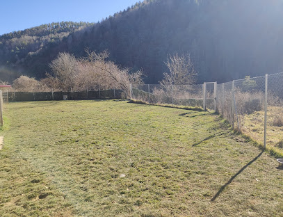 RADIKALDOGS | Guardería para perros en Ripoll