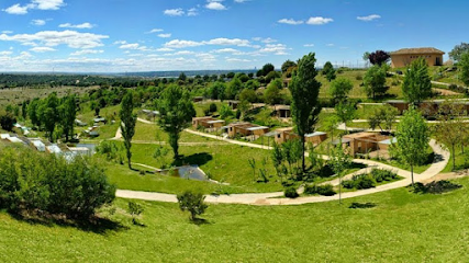 Happycan | Guardería para perros en El Molar