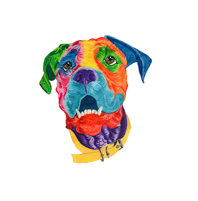 Educacion Canina | Adiestradores de perros en Oviedo