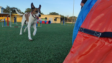 Club Canino El Area | Adiestradores de perros en Jerez de la Frontera