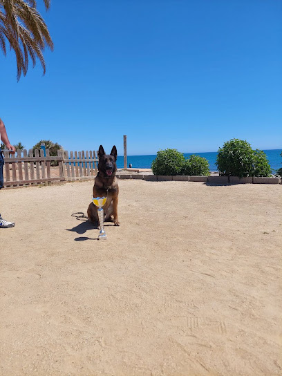 Madagui | Adiestradores de perros en Finestrat