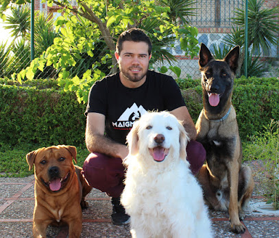 MaigmoCan | Adiestradores de perros en Alicante
