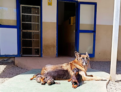 Mucha Chispa | Guardería para perros en Uga