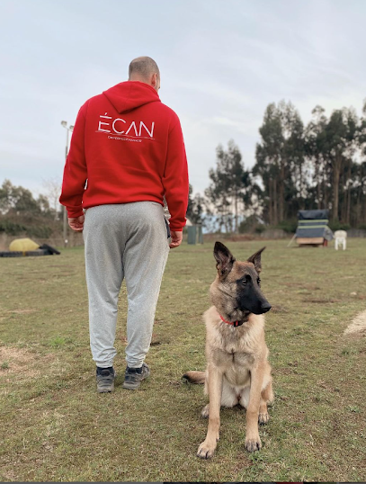 Ecan | Adiestradores de perros en Xunqueiras