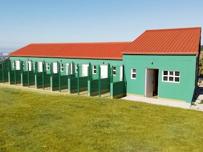 Obradoiro | Guardería para perros en La Coruña