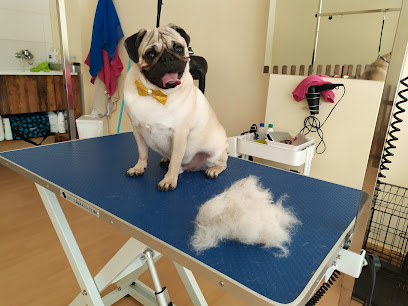 El Stylo de Maya | Peluqueria para perros en Motril