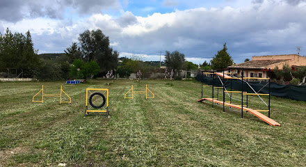 InCan | Adiestradores de perros en Mallorca