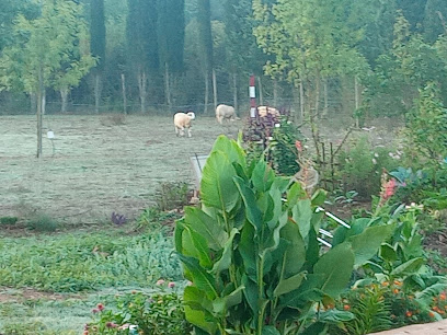 El Rocater | Guardería para perros en Girona