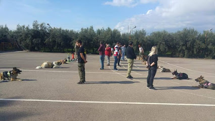Rytual-Kan | Adiestradores de perros en La dirección pertenece a Almeria