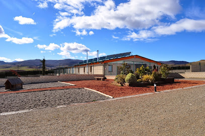 Lola y Zar | Guardería para perros en Canas