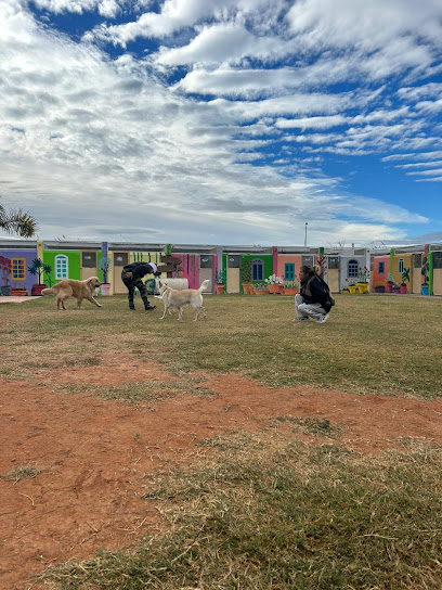 Valencia | Guardería para perros en Valencia