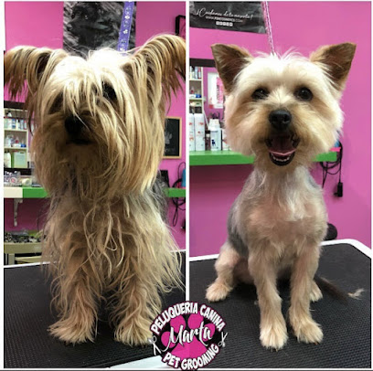 Marta | Peluqueria para perros en Torrevieja