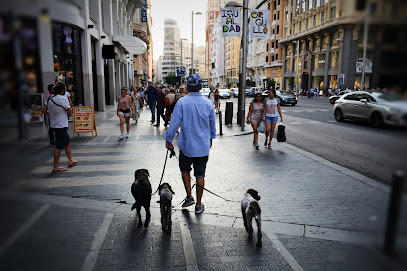 Dog & Life | Adiestradores de perros en Madrid