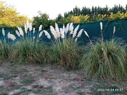 ALEA CAN | Guardería para perros en Calahorra