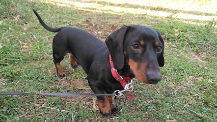 Jos-Can. | Adiestradores de perros en Bilbao