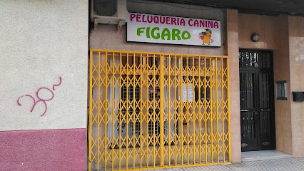 Figaro | Peluqueria para perros en Humanes de Madrid