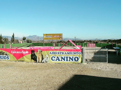 Zodiacan | Adiestradores de perros en Molina de Segura