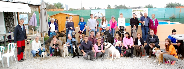 Adiestrar Perro | Adiestradores de perros en Sant Cugat del Valles