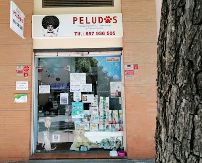 Peludos | Peluqueria para perros en Málaga