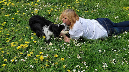Magic Pets | Adiestradores de perros en Pozuelo de Alarcón