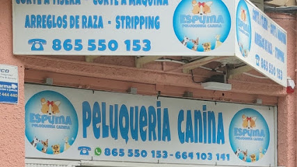 Espuma | Peluqueria para perros en Alicante