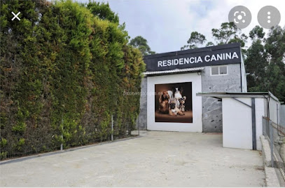 A Raposeira 2 | Guardería para perros en Salceda de Caselas