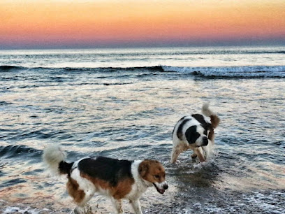 Frey | Peluqueria para perros en Torrevieja