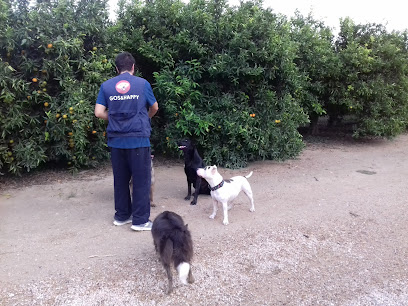 Centro Canino Gos&Happy | Adiestradores de perros en Tortosa