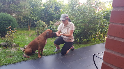 Comunicanis | Adiestradores de perros en Santander