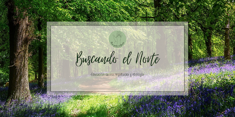 Buscando El Norte | Adiestradores de perros en Ciudad Real