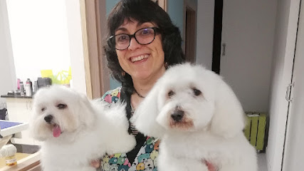El Gos Blau | Peluqueria para perros en Muro de Alcoy