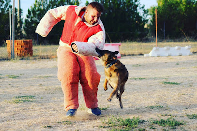 DogVall | Adiestradores de perros en Laguna de Duero