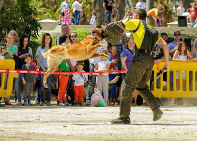 Kennel Campo de Gibraltar | Adiestradores de perros en Los Barrios