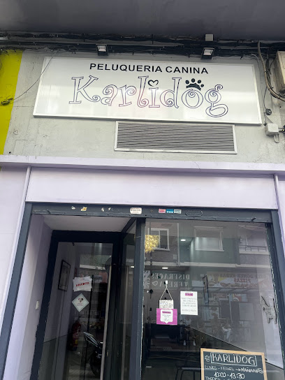 Karlidog | Zaragoza