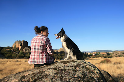 Entender A Mi Perro | Adiestradores de perros en Azpeitia