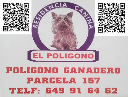 CACERES EL POLIGONO | Guardería para perros en Cáceres