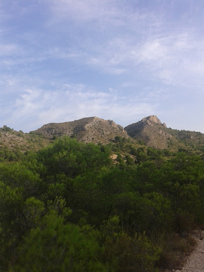 Zurican | Guardería para perros en Alicante