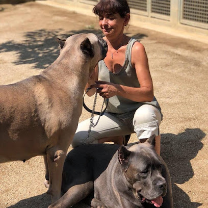 Servican | Guardería para perros en Cabrils