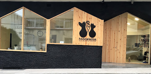 Hocicalados | Peluqueria para perros en Arteixo