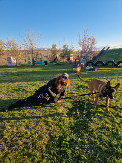 Educacion Canina Cheyenne | Adiestradores de perros en Brunete