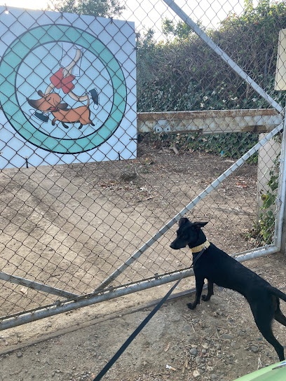 El Palmarillo | Guardería para perros en Guillena