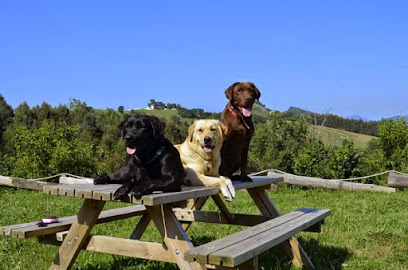 GuHau! | Adiestradores de perros en Lasarte-Oria