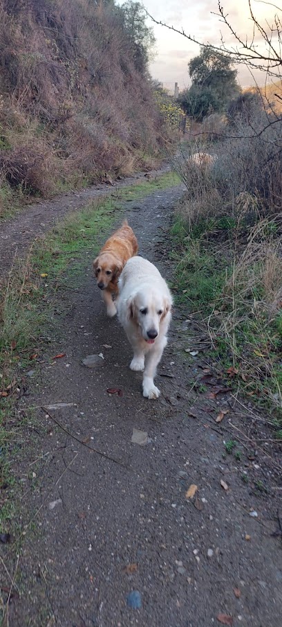 Finca Tranquila | Guardería para perros en Marbella