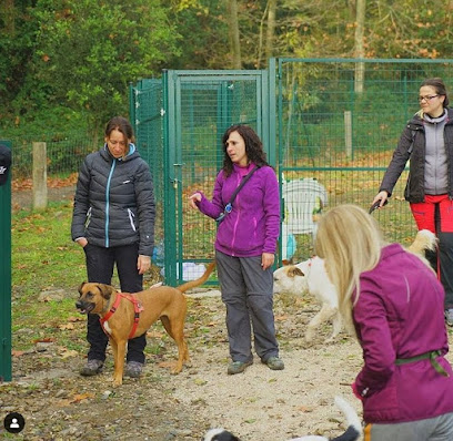 Kyro | Adiestradores de perros en Sant Esteve de Palautordera