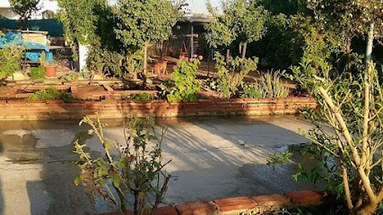 Deluna | Guardería para perros en Utrera